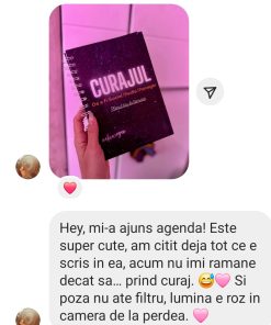 Aici este un testimonial pe care Alice Cazan, Social Media Manager l-a primit la Prima Agendă din România pentru Social Media Managers.